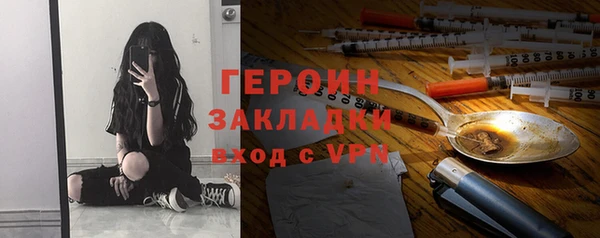 хмурый Алексин