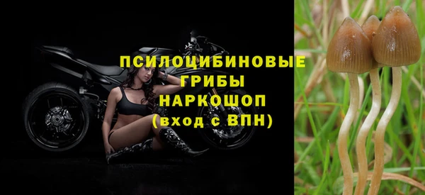 хмурый Алексин