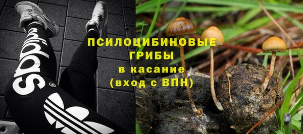 хмурый Алзамай