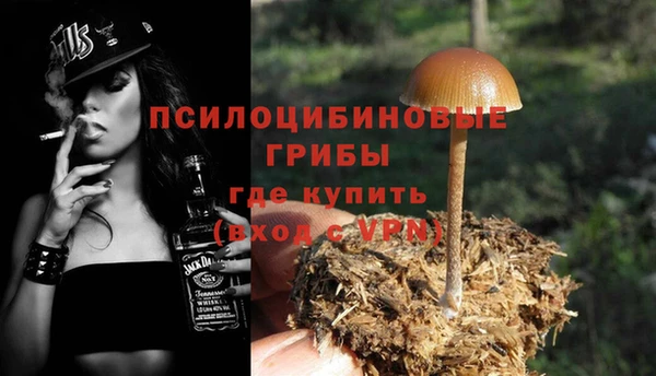 хмурый Алзамай