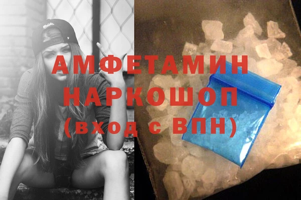 хмурый Алексин