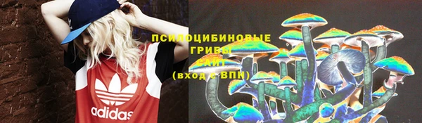 хмурый Алзамай