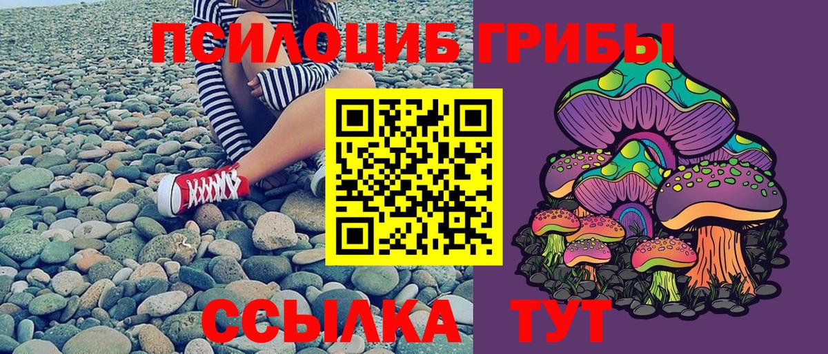 Красногорск  Псилоцибиновые грибы ЛСД  Вход с VPN 