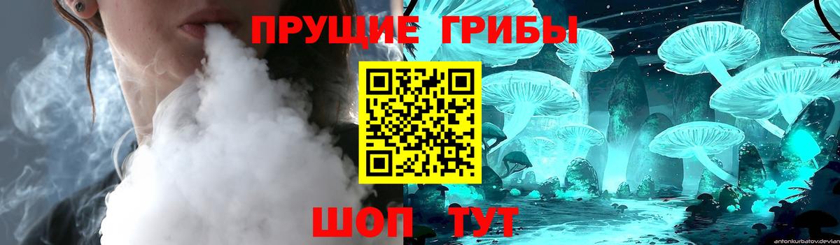 Псилоцибиновые грибы прущие грибы Красногорск